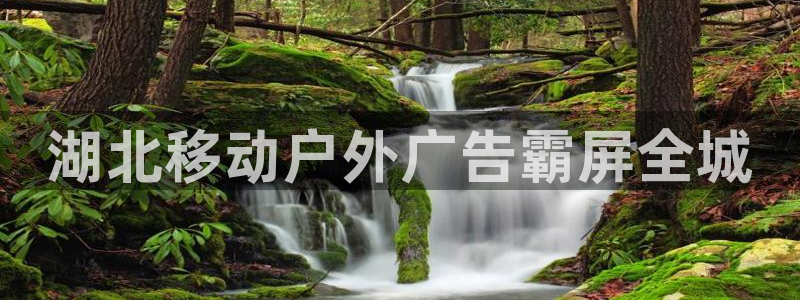 杏宇平台是什么