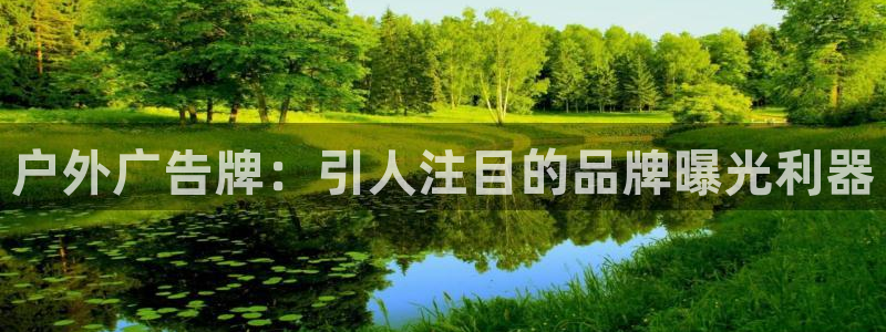 杏宇平台是什么