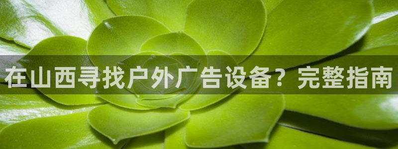 杏宇平台总代理电话