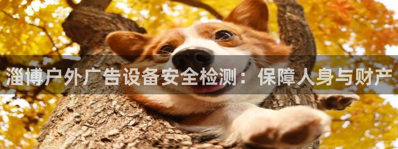 杏宇平台怎么样知乎