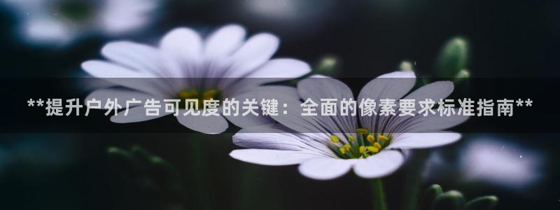 杏宇平台怎么样知乎