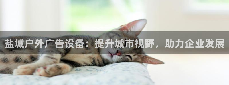 杏宇平台代理