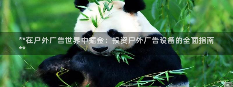 杏宇平台主管