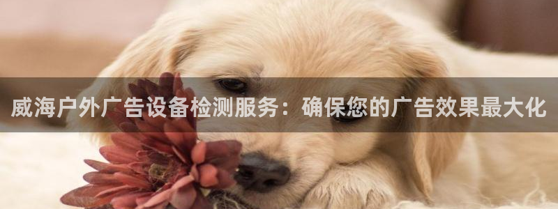 杏宇平台代理