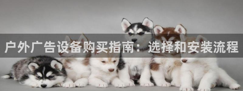 杏宇平台招商