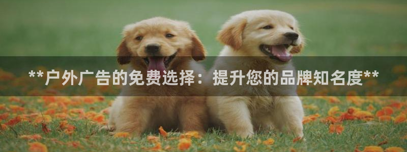 杏宇平台代理怎么样：**户外广告的免费选