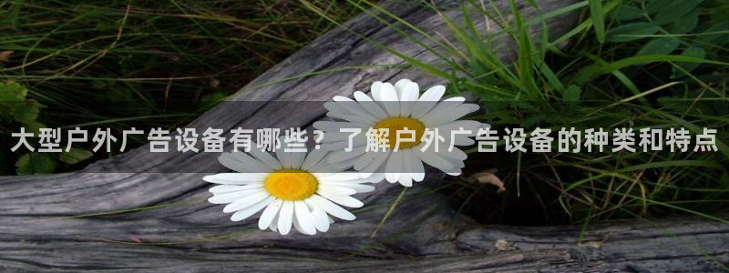 杏宇平台总代理是谁