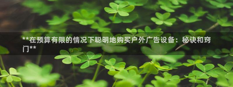 杏宇平台官网注册：**在预算有限的情况下
