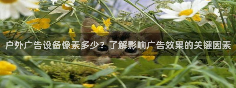 杏宇平台注册地址在哪里：户外广告设备像素