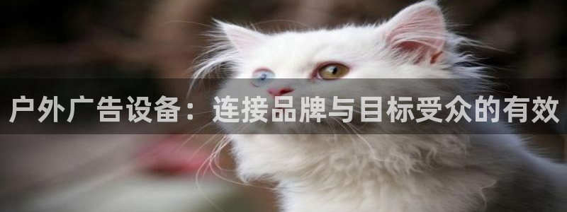 杏宇平台代理怎么样：户外广告设备：连接品