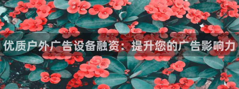 杏宇平台代理怎么样赚钱：优质户外广告设备