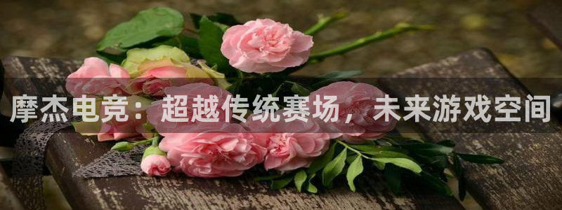 乐鱼电竞平台