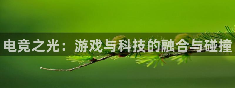 乐鱼电竞英雄联盟app官方
